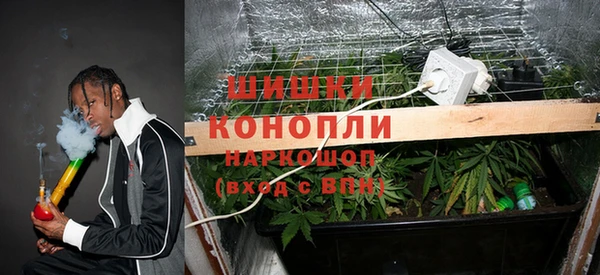прущая мука Богданович