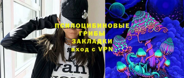 ECSTASY Богородск