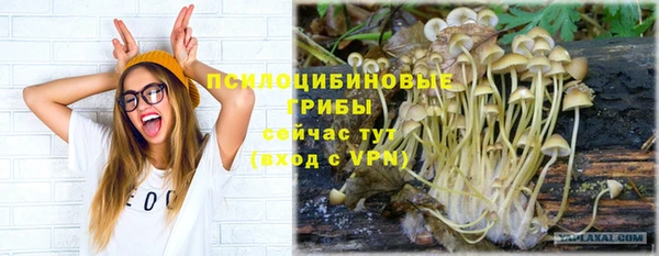 мет Богородицк