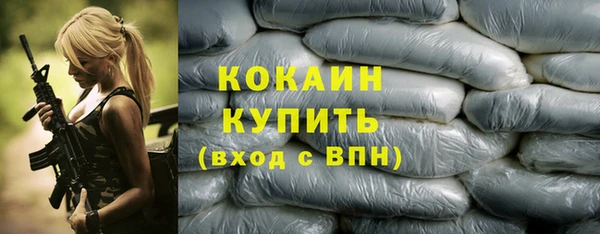 ECSTASY Богородск