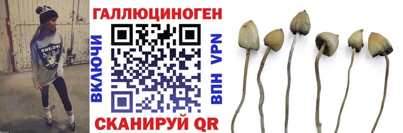 Псилоцибиновые грибы Cubensis Оха